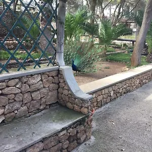  Homestay 16 Portugal
